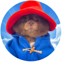 Bertram The Pomeranian