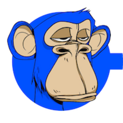 Bored Ape Social Club